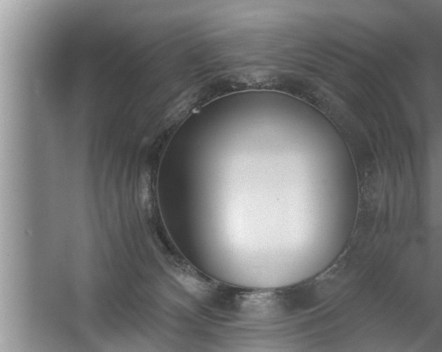 X0000059850132200510281901