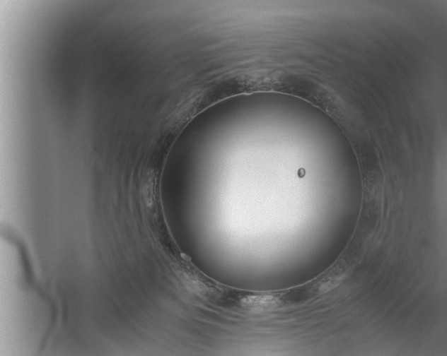 X0000059850133200510281901