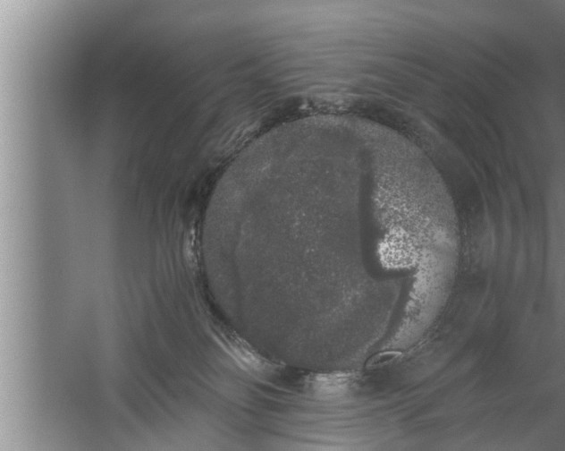 X0000059850134200510281901