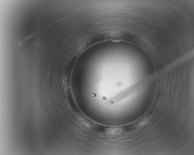 X0000059850135200510281901