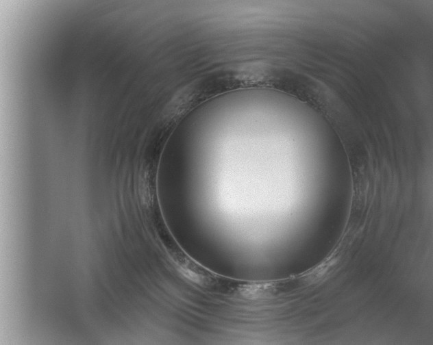 X0000059850136200510281901