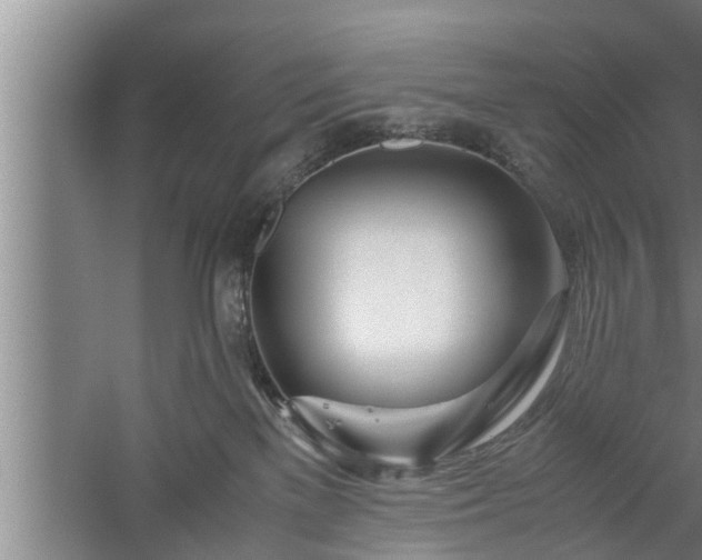 X0000059850137200510281901