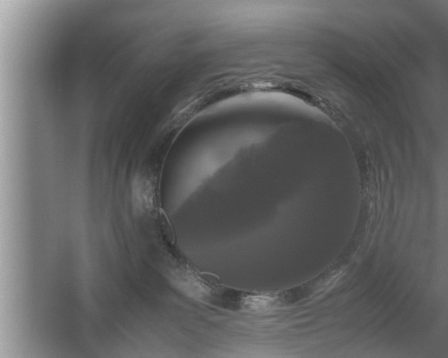 X0000059850139200510281901