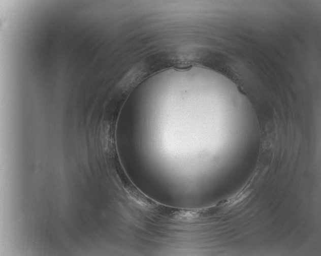 X0000059850140200510281901