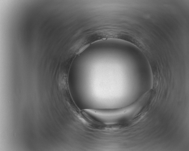 X0000059850141200510281901