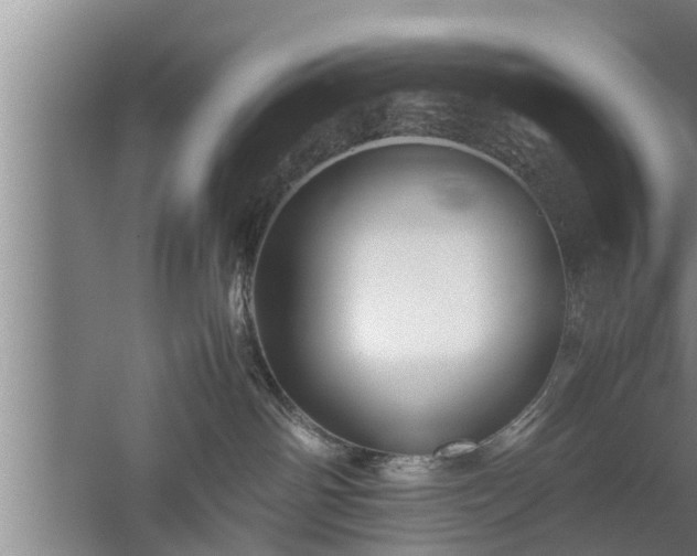 X0000059850142200510281901