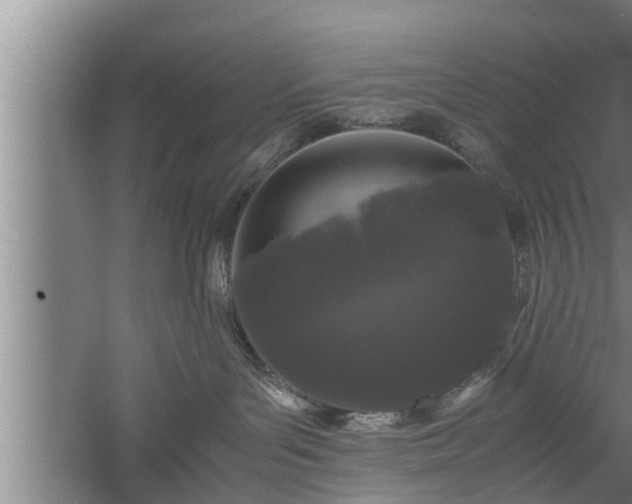 X0000059850143200510281901