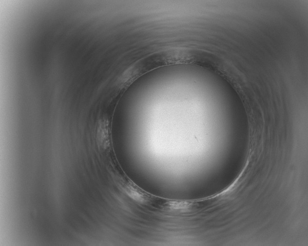 X0000059850144200510281901