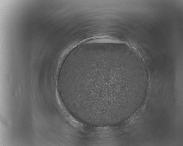 X0000059850145200510281900