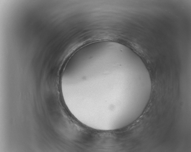 X0000059850146200510281900