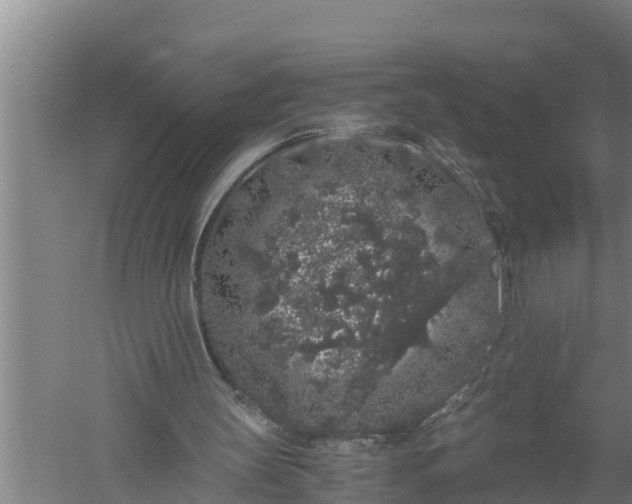 X0000059850147200510281900