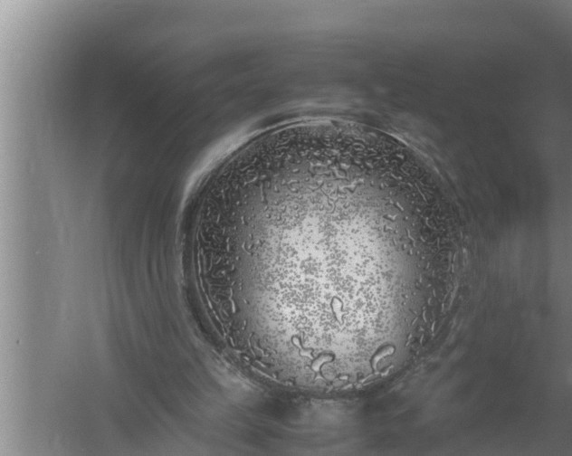 X0000059850149200510281900