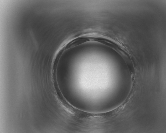 X0000059850150200510281900