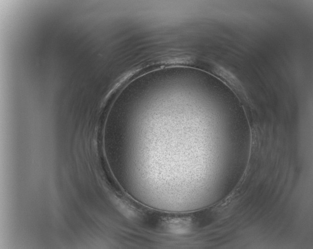 X0000059850155200510281900