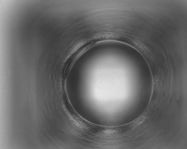 X0000059850158200510281900