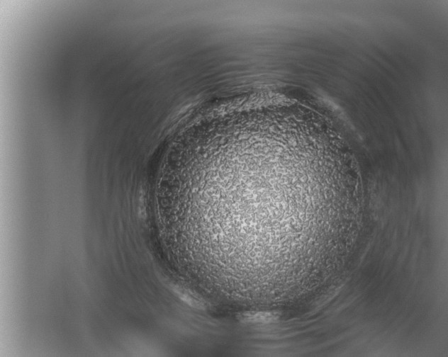 X0000059850161200510281901