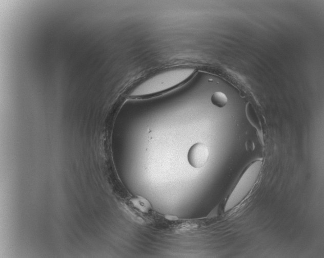 X0000059850162200510281901