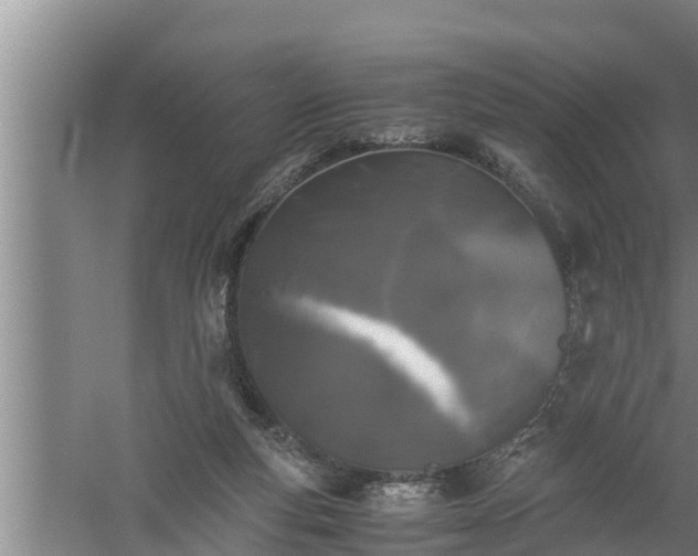 X0000059850163200510281901