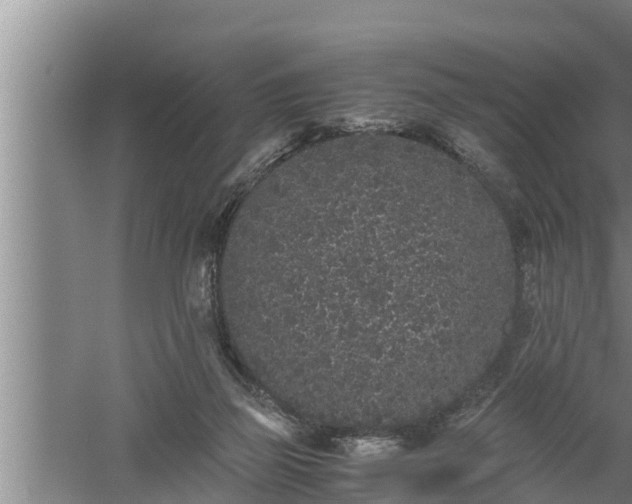 X0000059850165200510281901