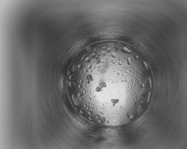 X0000059850166200510281901