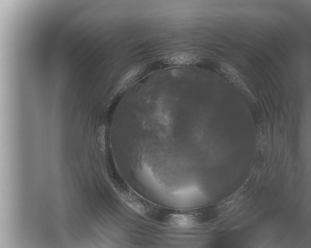 X0000059850167200510281901