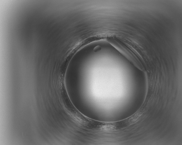 X0000059850168200510281901