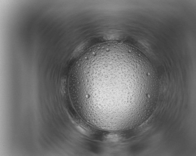 X0000059850171200510281901