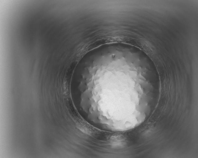 X0000059850173200510281901