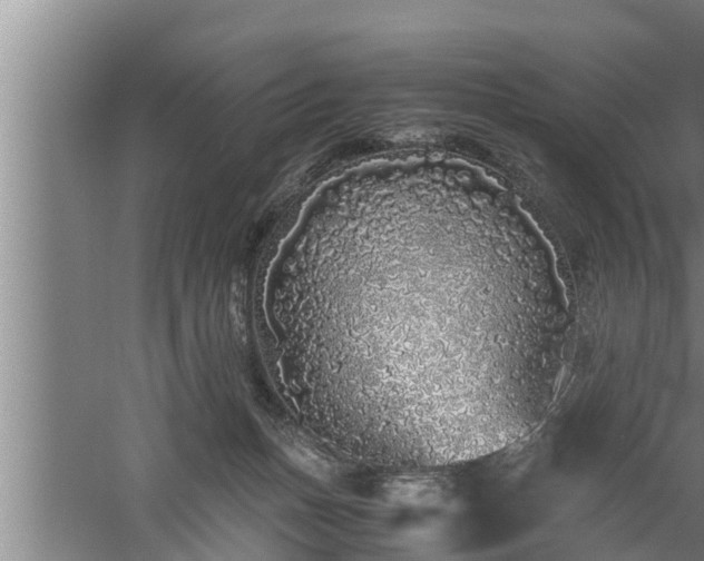 X0000059850175200510281901