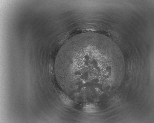 X0000059850177200510281901