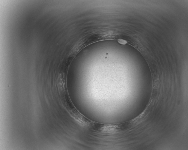 X0000059850179200510281901