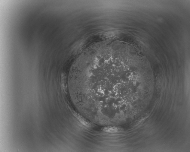 X0000059850181200510281901