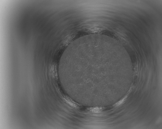 X0000059850182200510281901