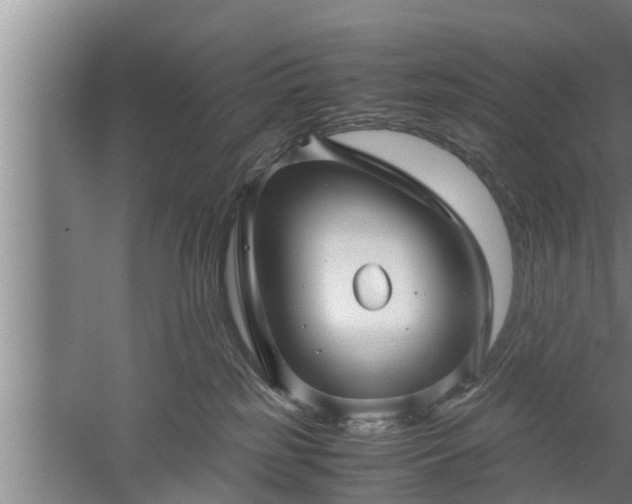 X0000059850185200510281901