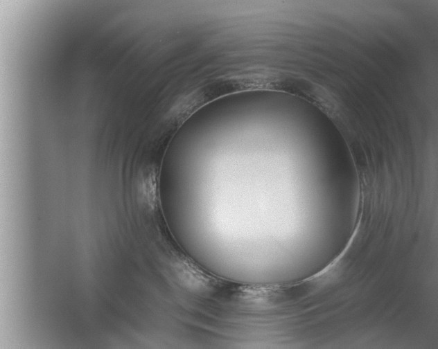 X0000059850190200510281901