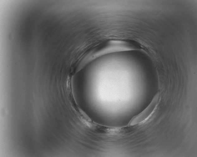 X0000059850192200510281901