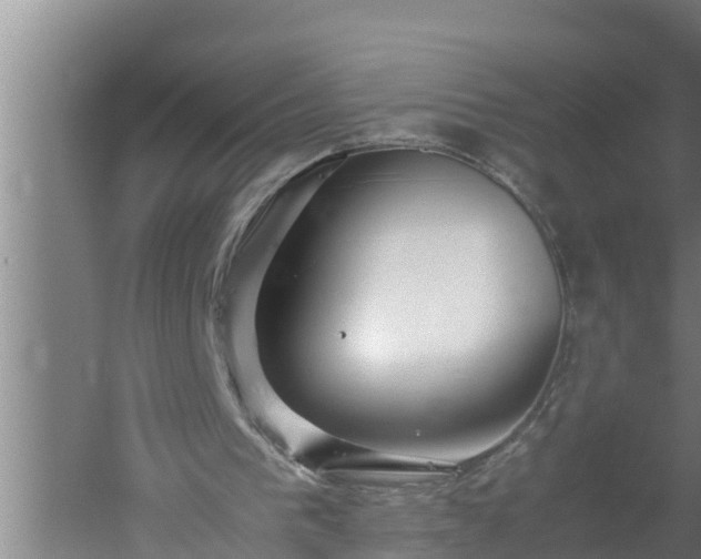 X0000059850193200510281900