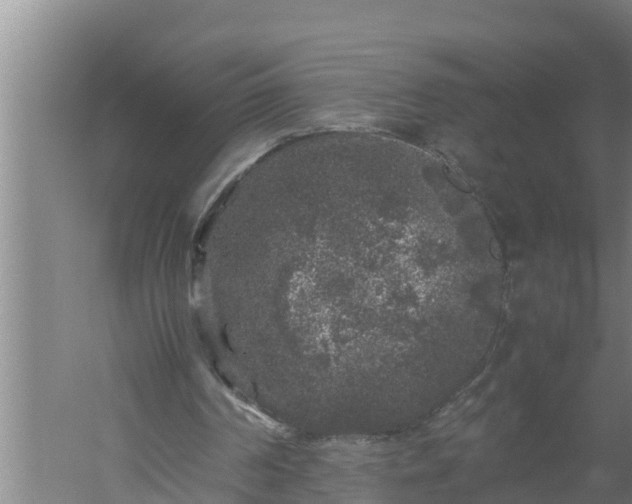 X0000059850194200510281900