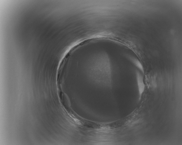 X0000059850196200510281900