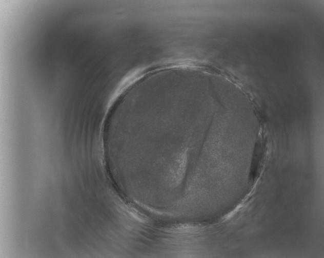 X0000059850198200510281900