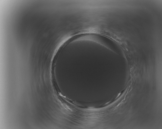 X0000059850200200510281900