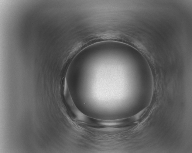 X0000059850201200510281900