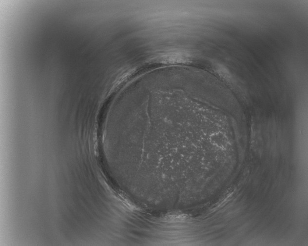 X0000059850202200510281900