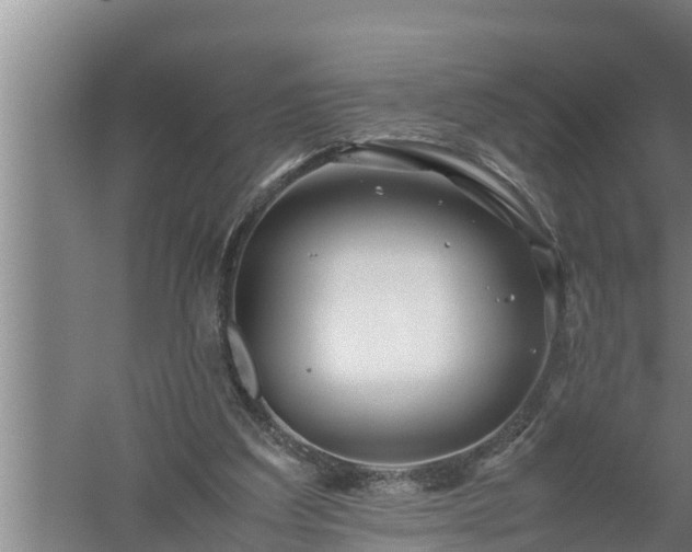 X0000059850203200510281900