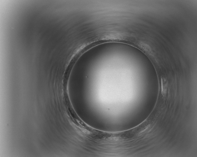 X0000059850204200510281900