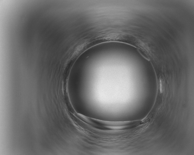 X0000059850205200510281900