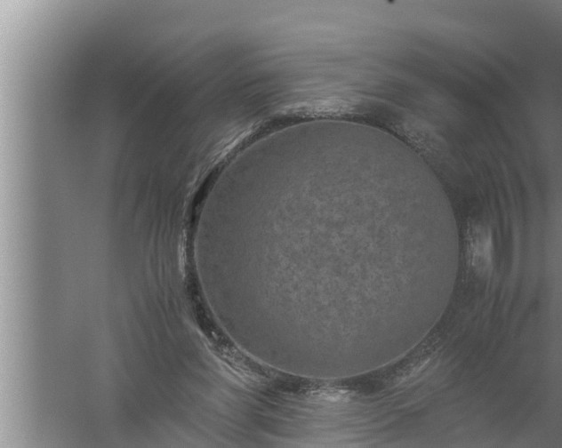 X0000059850206200510281900