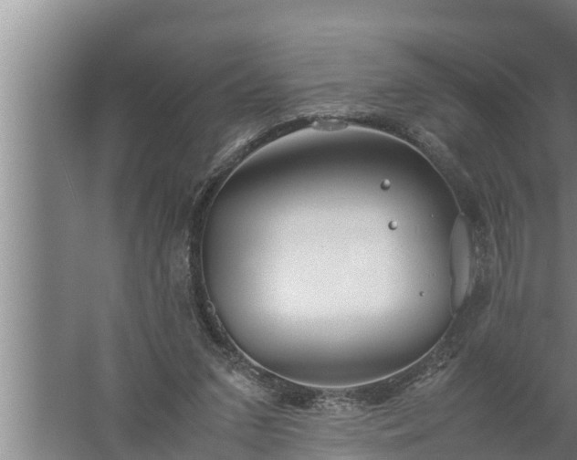 X0000059850207200510281900