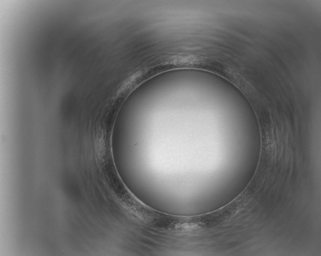 X0000059850208200510281900