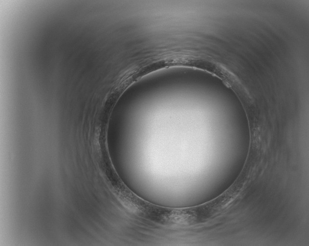 X0000059850209200510281900